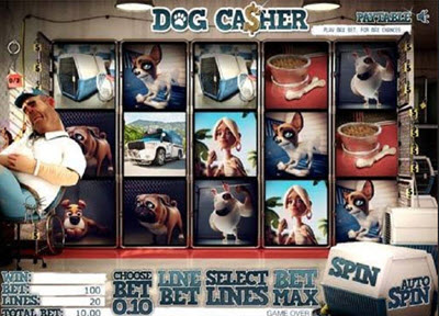Dog Casher